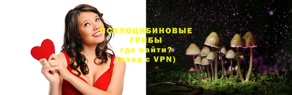 амф Бронницы