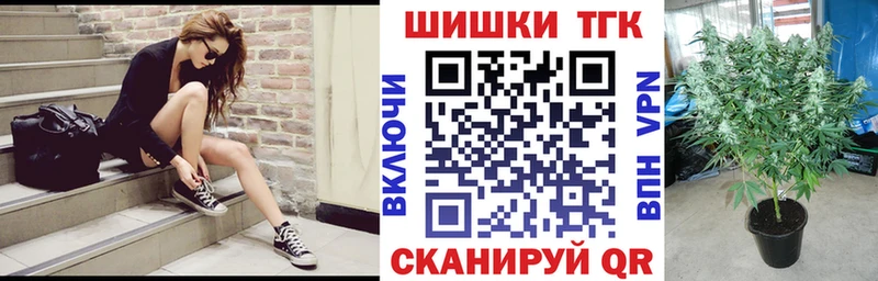 купить наркотик Сургут Бошки Шишки SATIVA & INDICA